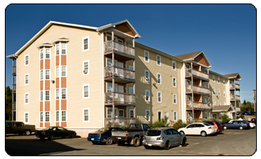 7 Kali Lane